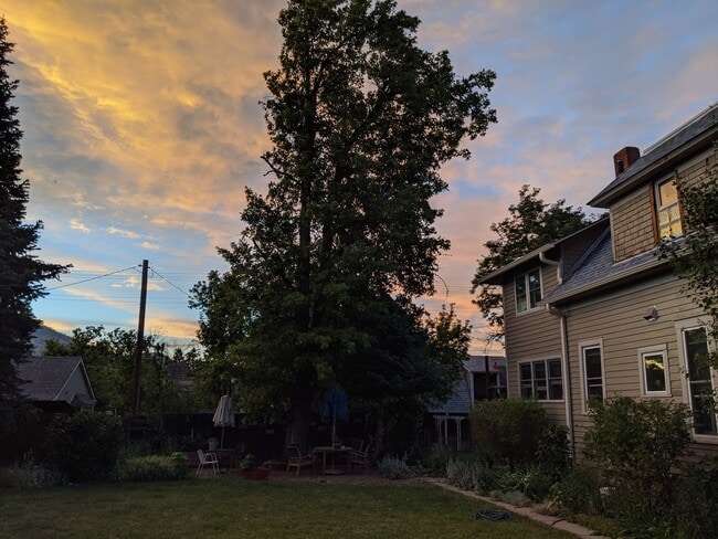 Side yard - 925 Grandview Ave