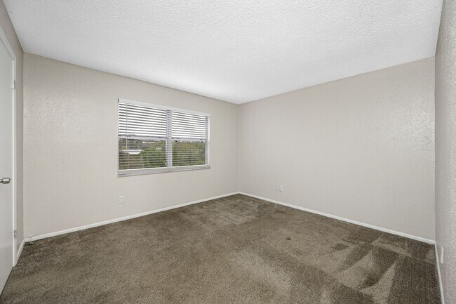 Building Photo - Spacious 1 Bed-1Bath apartment in the hear...