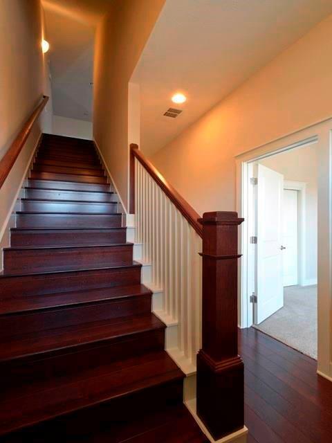 Building Photo - 2520 Bluebonnet Ln