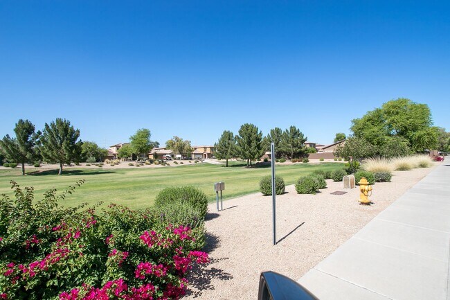 Building Photo - 4 Bedroom in Tolleson.  Landscaping redone.  Newer Carpet, Available February 1st!!!  Great 2 sto...