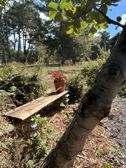Garden Bench - 16575 Franklin Rd