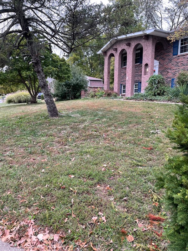 Building Photo - 217 Jubaka Dr