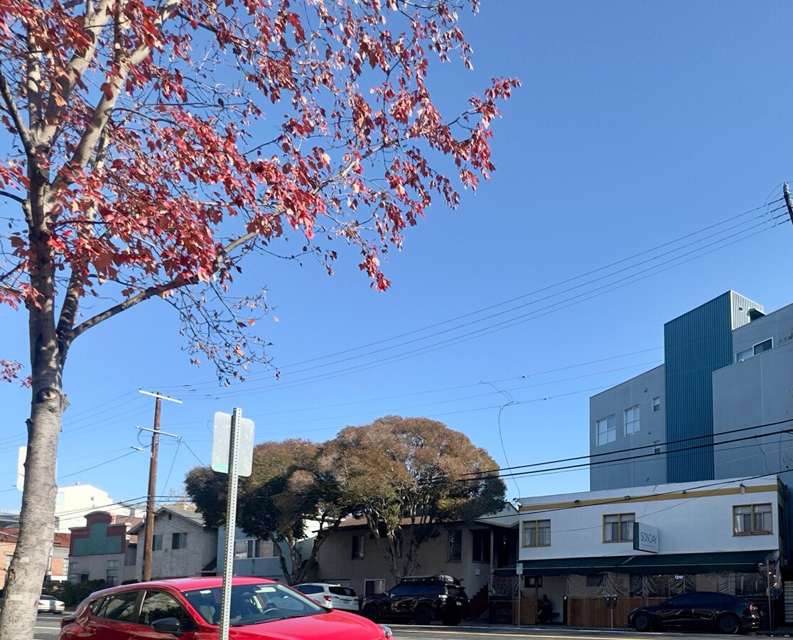 Building Photo - 1121 40th St