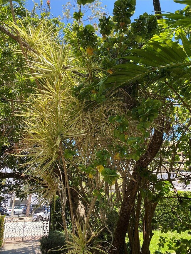 Building Photo - 40 Almeria Ave