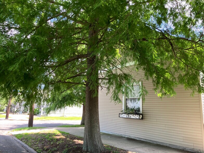 Cypress shaded - 2039 Valence St