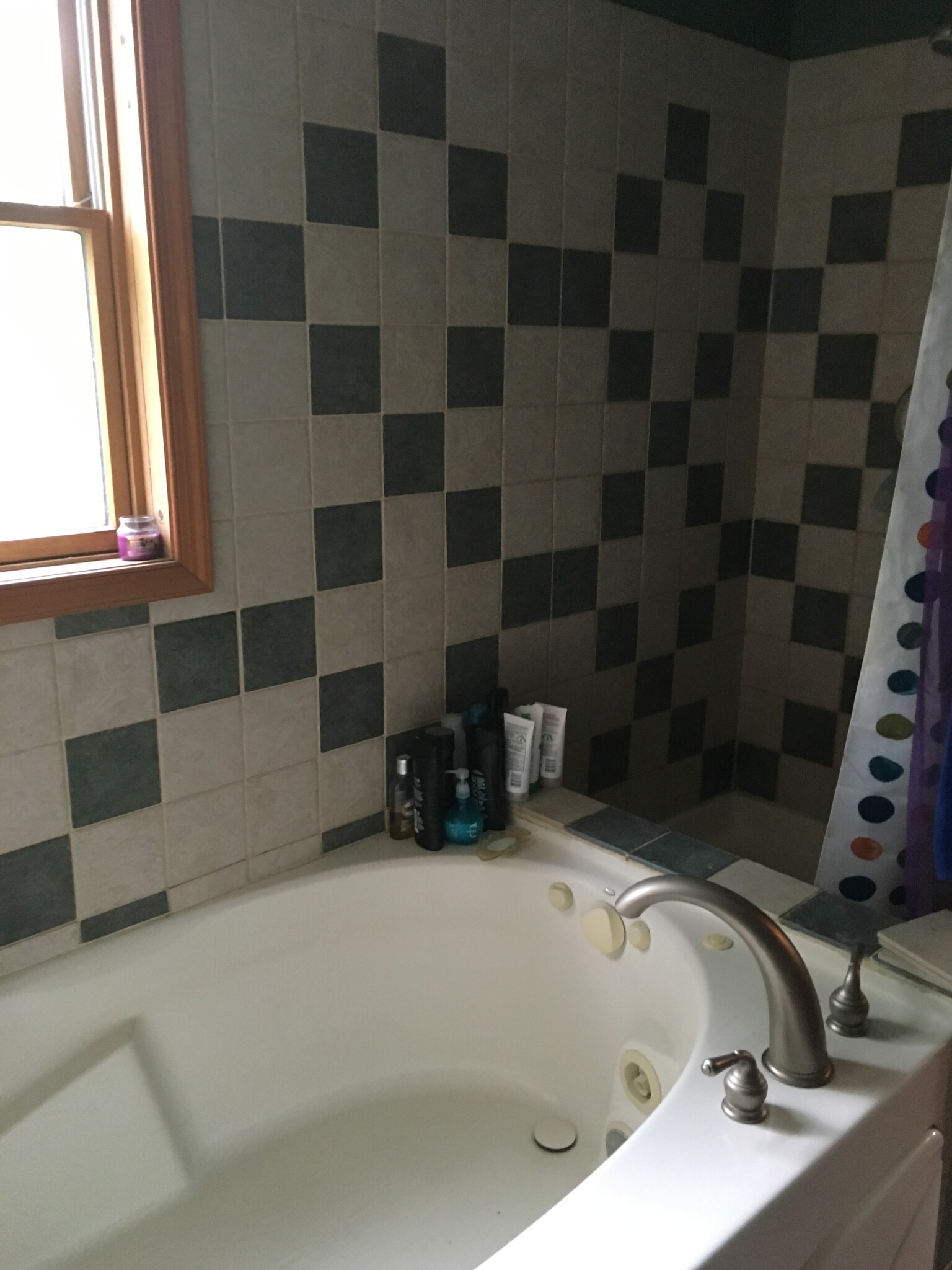 Master bath. Whirl pool and shower. - 1163 120th Street