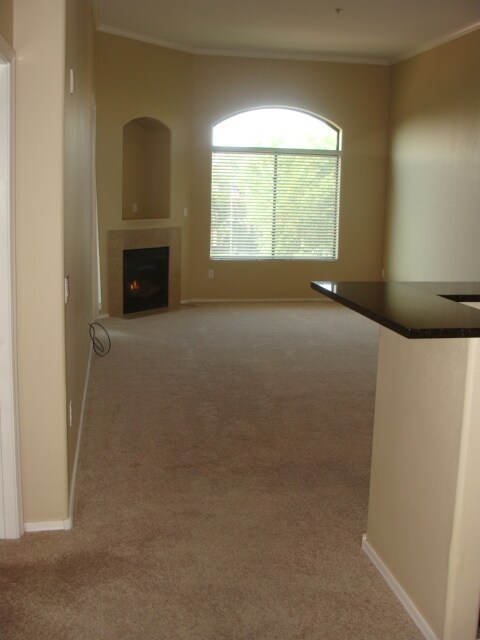Family Room - 11640 N. Tatum Blvd