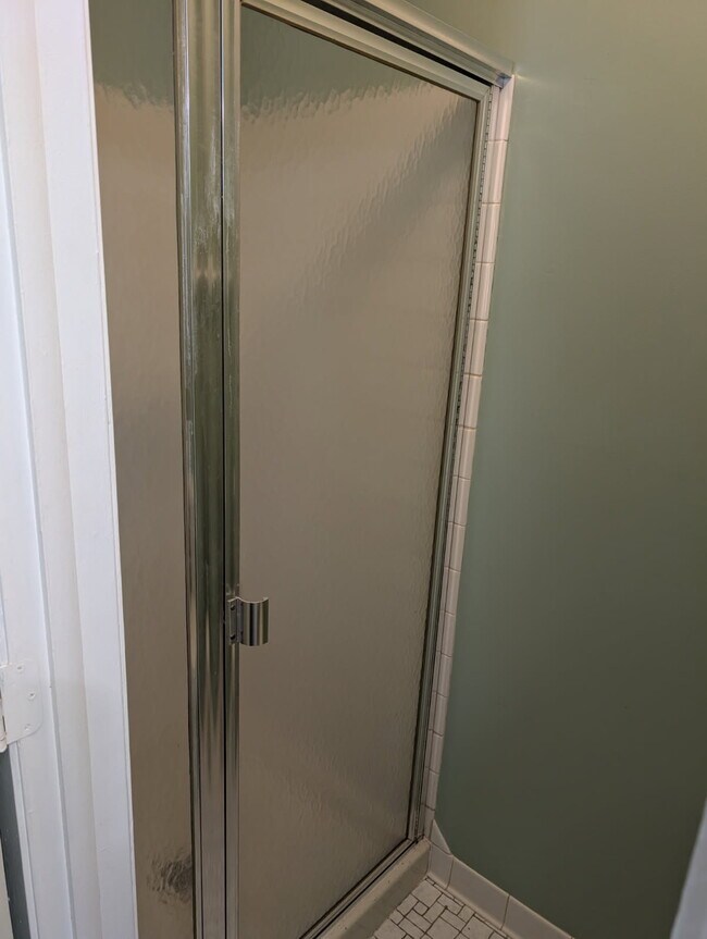 Ensuite Shower - 122 Demont Avenue East