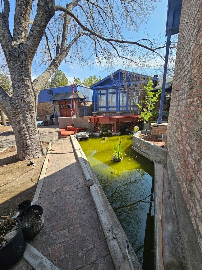 Building Photo - Lovely 3 bedroom, 2 baths in NE Heights!