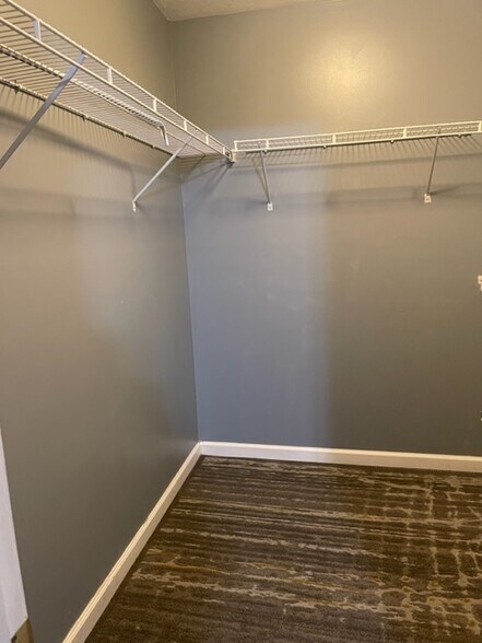Walk-In closet - 729 Spring Valley Dr