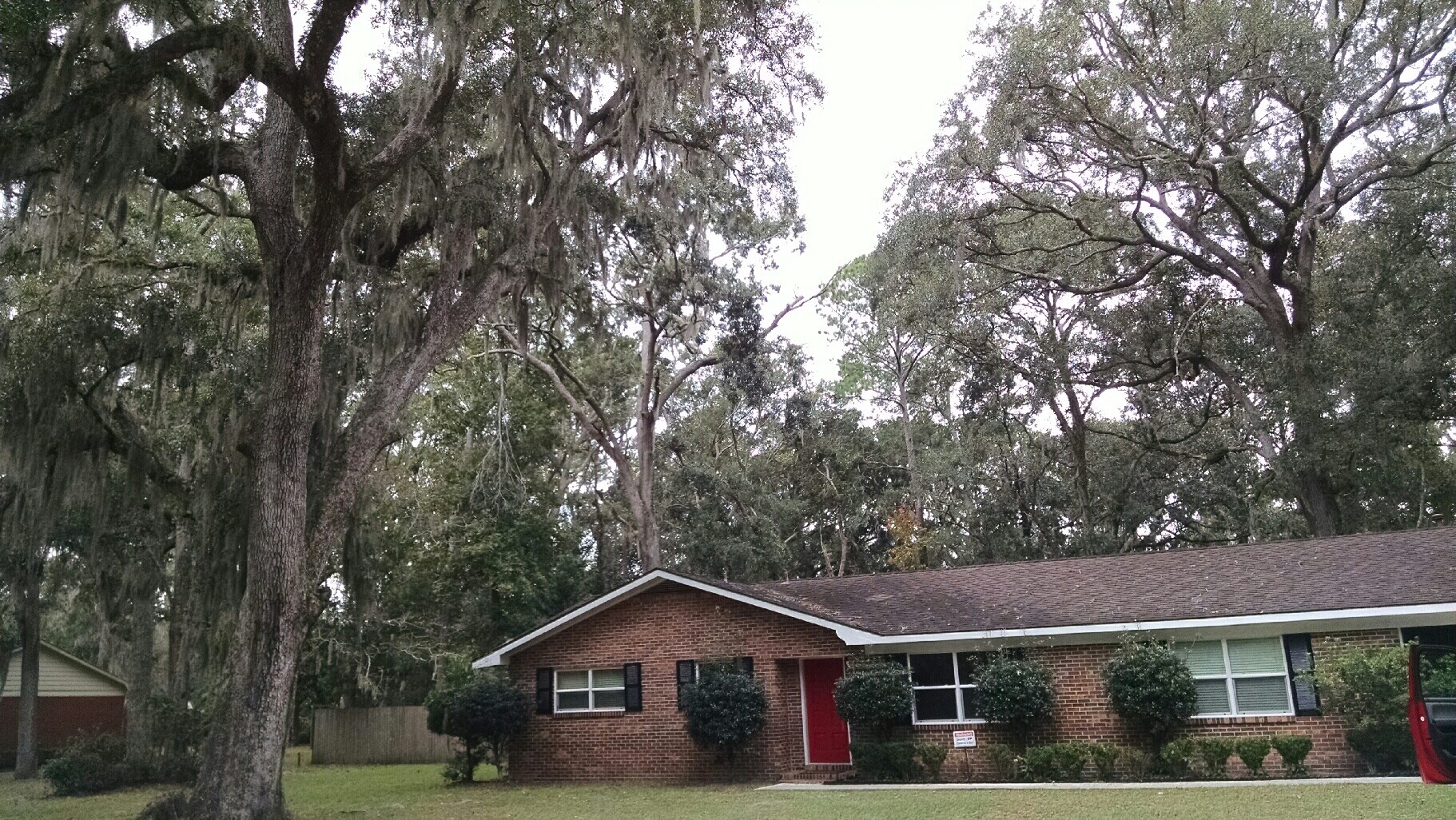 Majestic Mossy Oaks - 831 Devon Drive