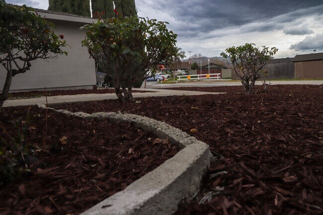 Building Photo - Welcome Home!!! - 3 bedroom 2 bath