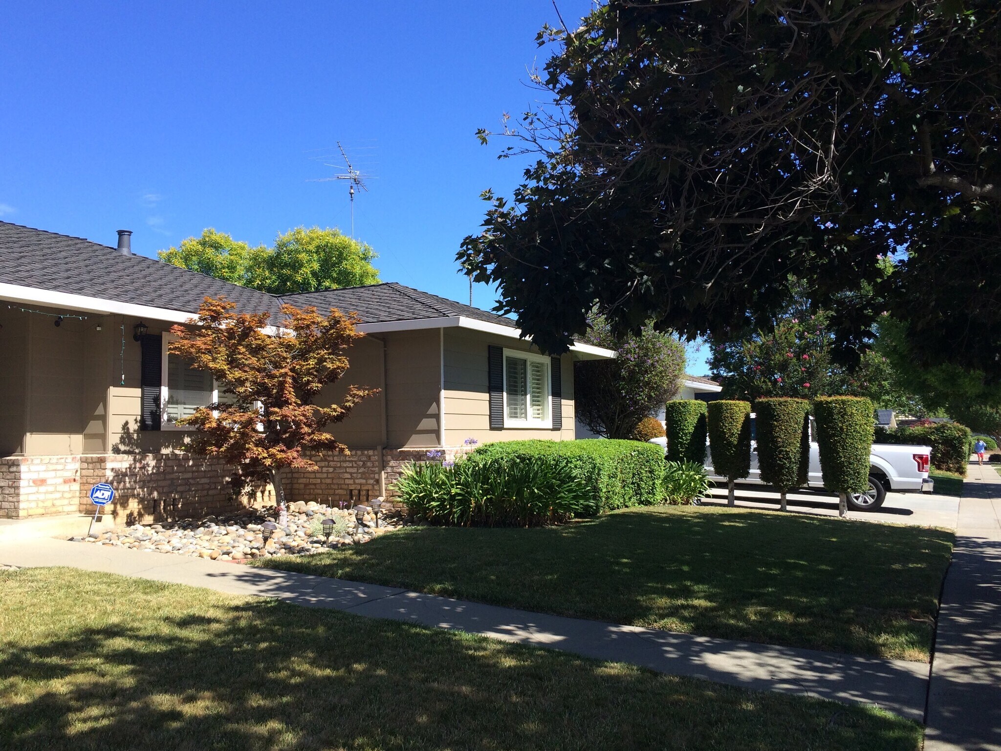 Building Photo - 1159 Runnymede Dr