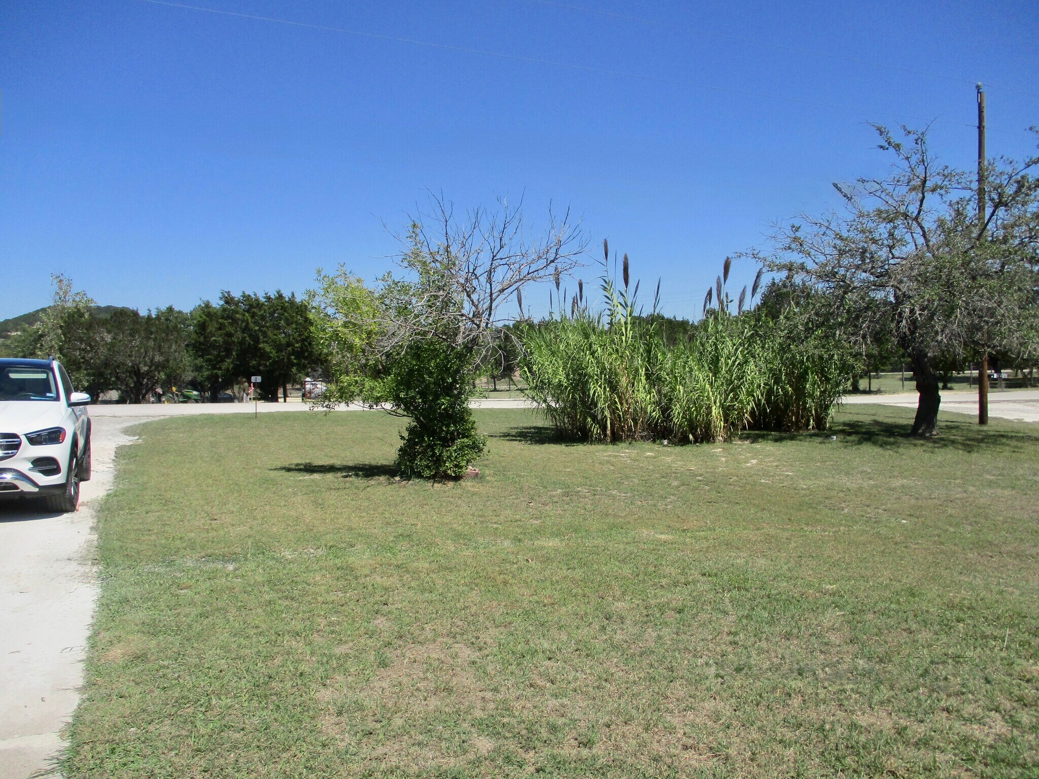 Building Photo - 165 Armadillo Ln