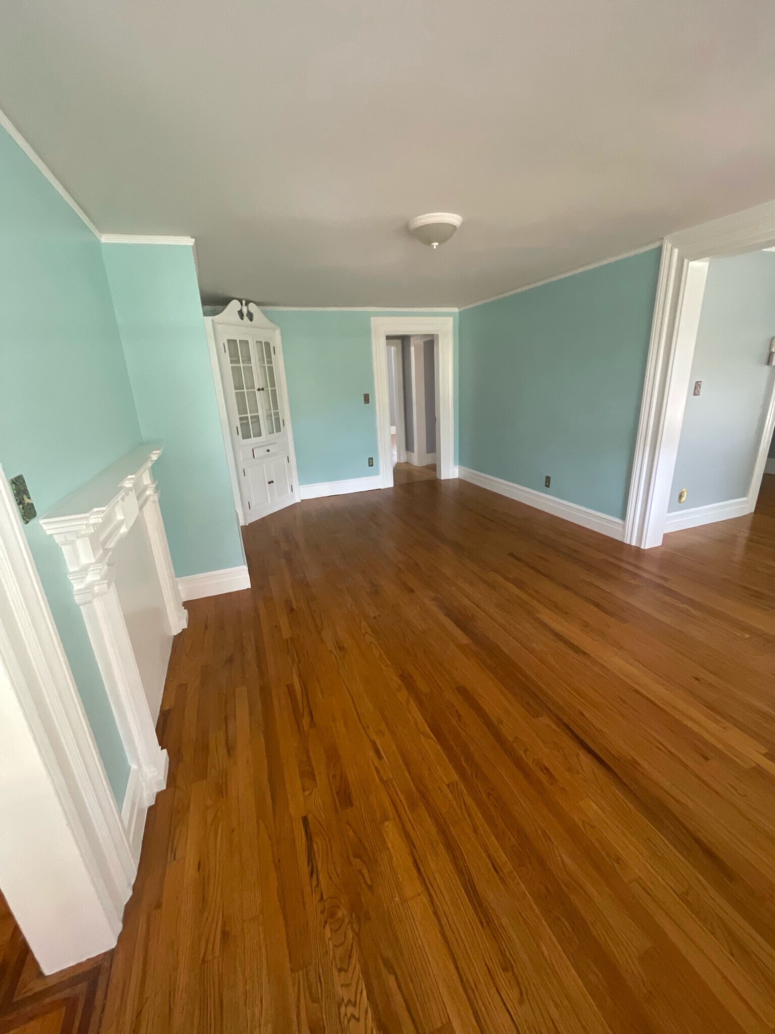 Living Room 1 - 1 - 110 Woodward St