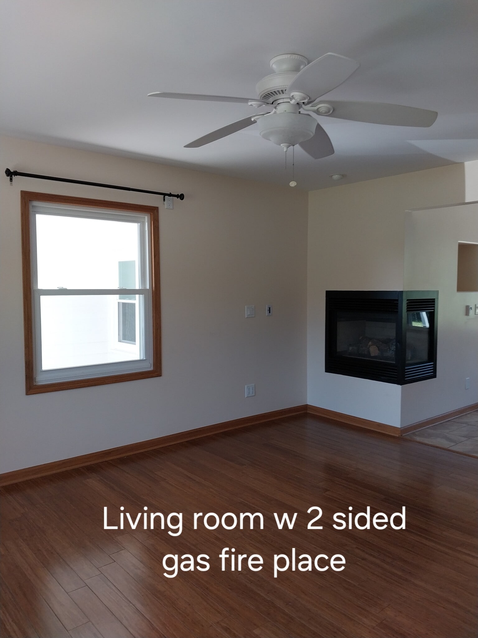 Living room with two sided gas fireplace - 12006 7 1/2 Mile Rd