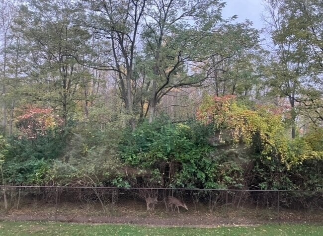 Building Photo - 6431 Deerhurst Dr