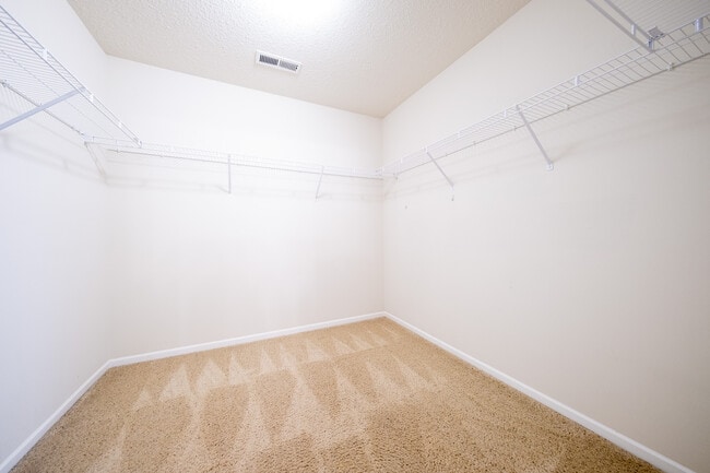 Building Photo - 9183 Lighthouse Ln