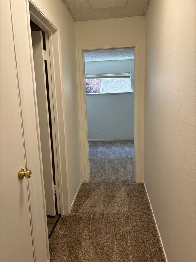 Building Photo - 2035 Mount Olive Dr