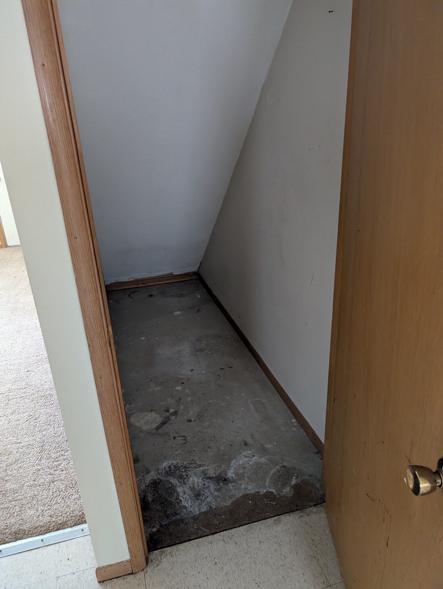 Building Photo - 521 Hinderer Ave SW