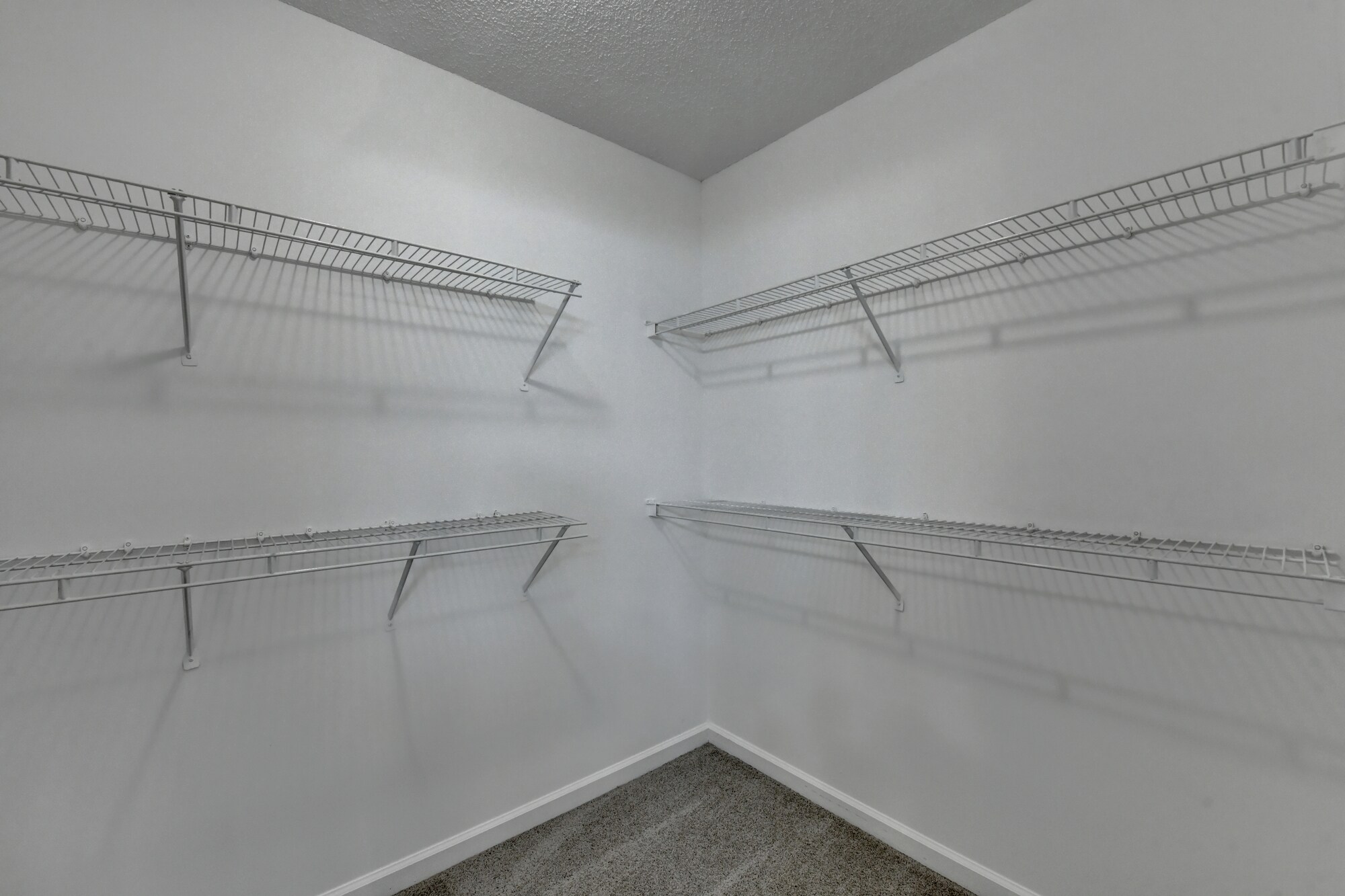 Building Photo - 3415 Oxwell Dr