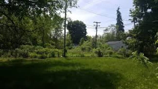 Building Photo - Three Bedroom One Bathroom House