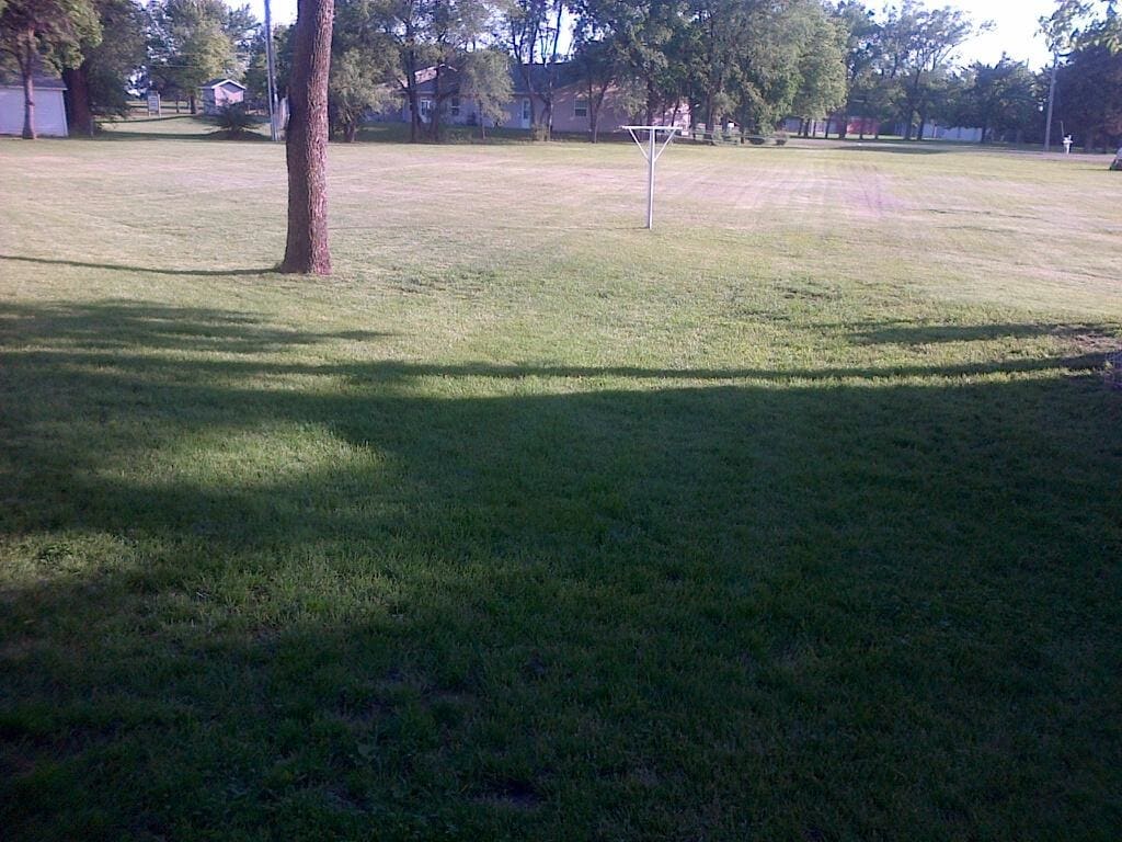 Backyard - 530 Korb St