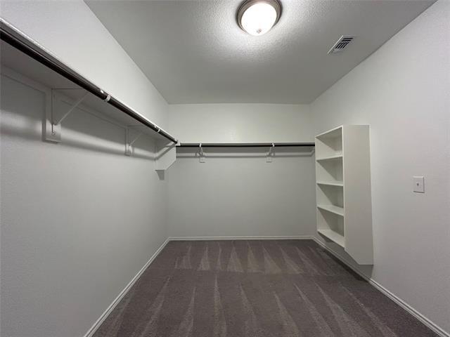 Building Photo - 4640 Greyberry Dr