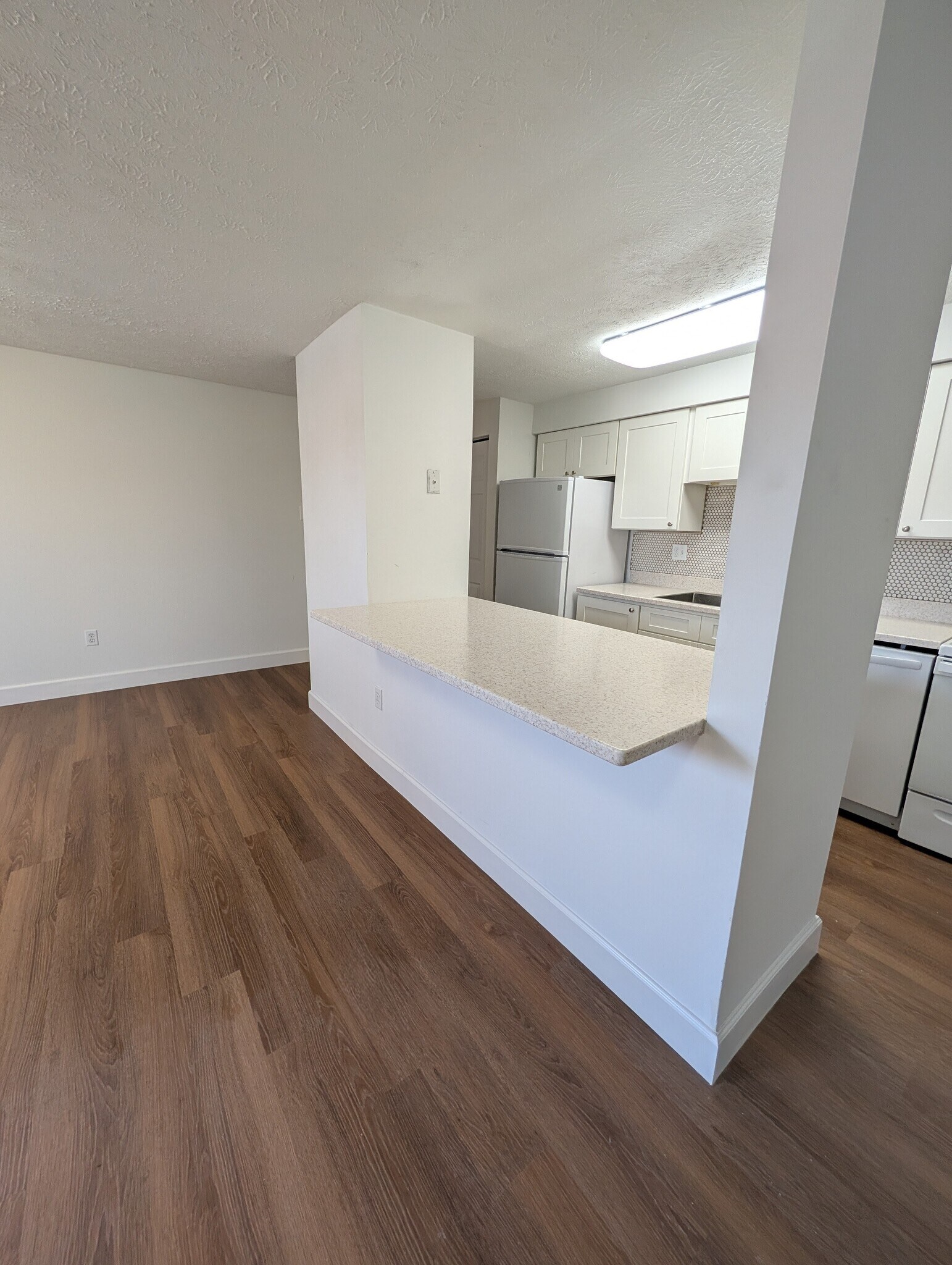 Open plan area with breakfast bar - 19609 Gunners Branch Rd