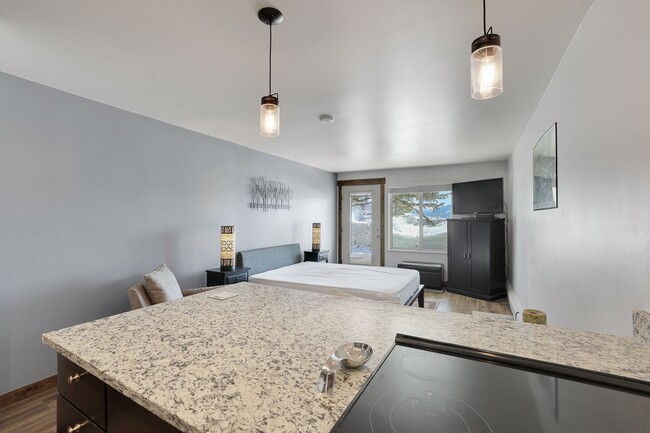 Building Photo - Completely Remodeled Studio/1 Bath Unit on...