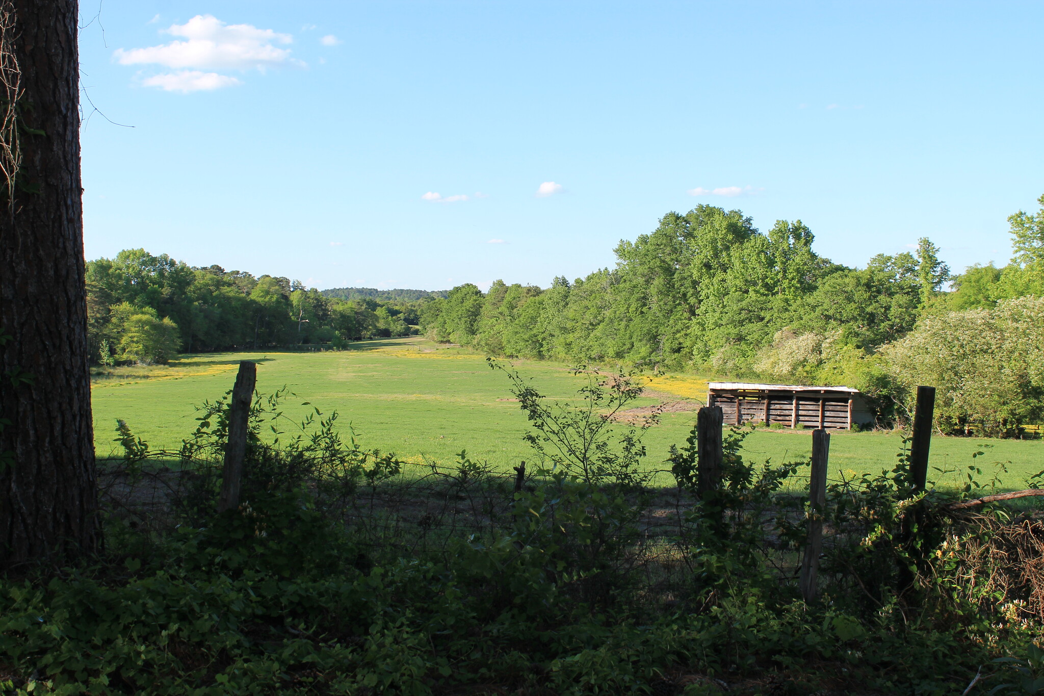 Building Photo - 166 Standish Ln