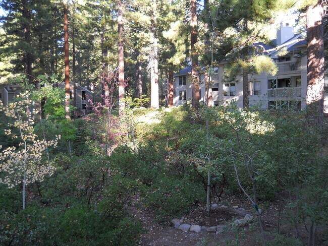 Building Photo - 171 Village Blvd