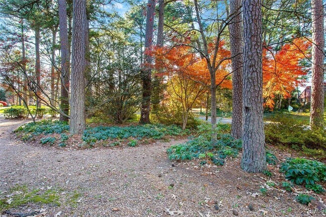 Building Photo - 509 Waveny Rd