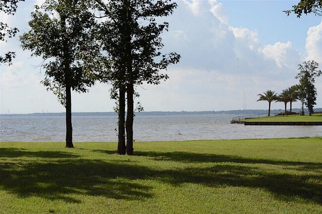 Building Photo - 13043 Sweetgum Shores Dr