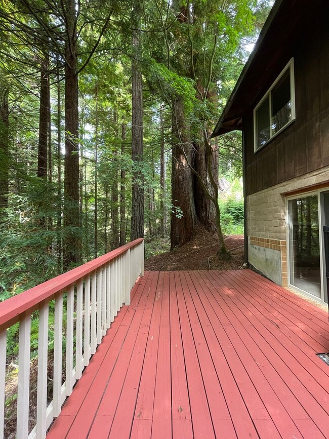 Building Photo - 4 bed, 3 bath split-level home in a private, forested setting (Bayside)