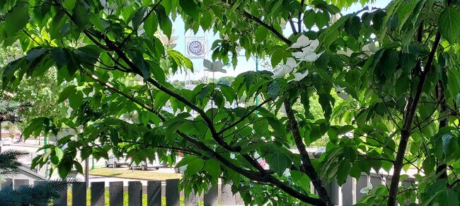 Front Yard View to Station Clock - 388 Arborway