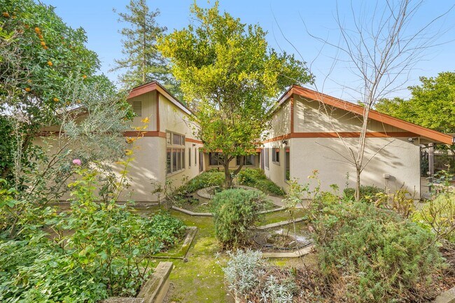 Building Photo - Beautiful 3 Bedroom home in Stonegate