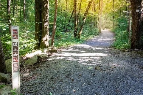 Building Photo - 157 Twilight Trail