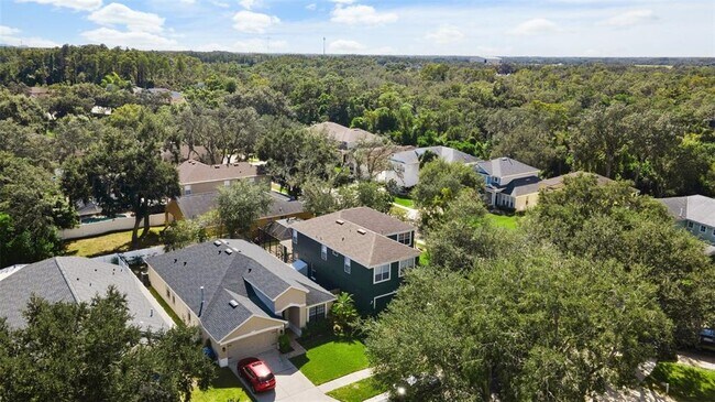 Building Photo - 7310 Brightwater Oaks Dr