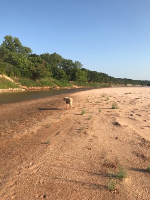 Building Photo - 4411 County Rd 127