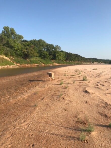 Primary Photo - 4411 County Rd 127