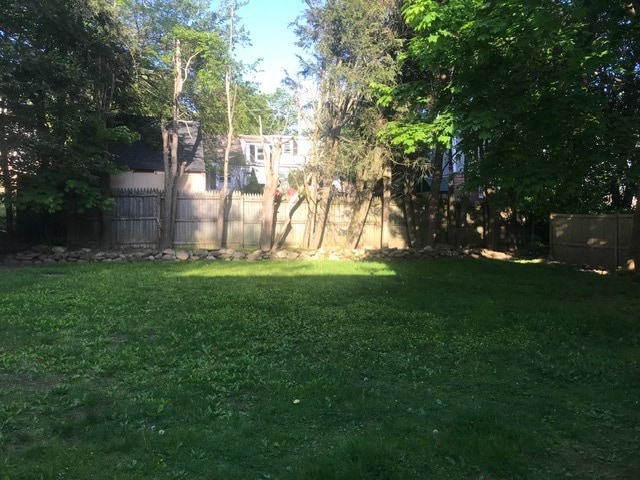 Flat backyard - 17 Arnold St