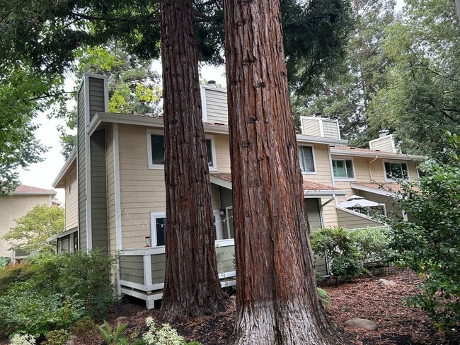 Building Photo - Sophisticated 2BR Walnut Creek Residence –...
