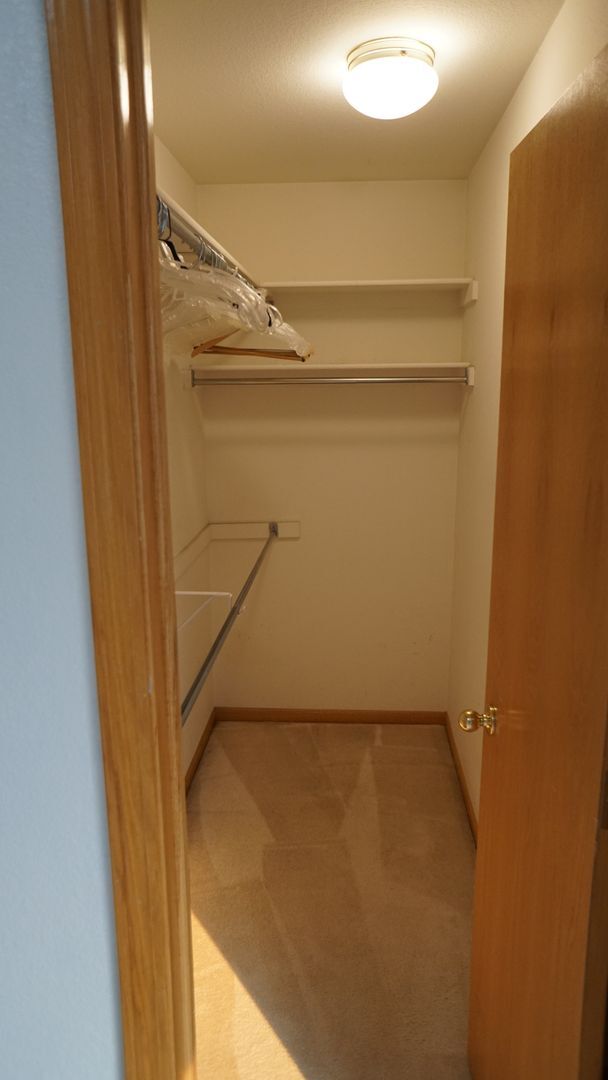 Building Photo - Spacious 3 bed 2.5 Bath, Split-Level Home in South Fort Collins!