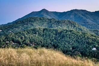 Building Photo - 162 Throckmorton Ave