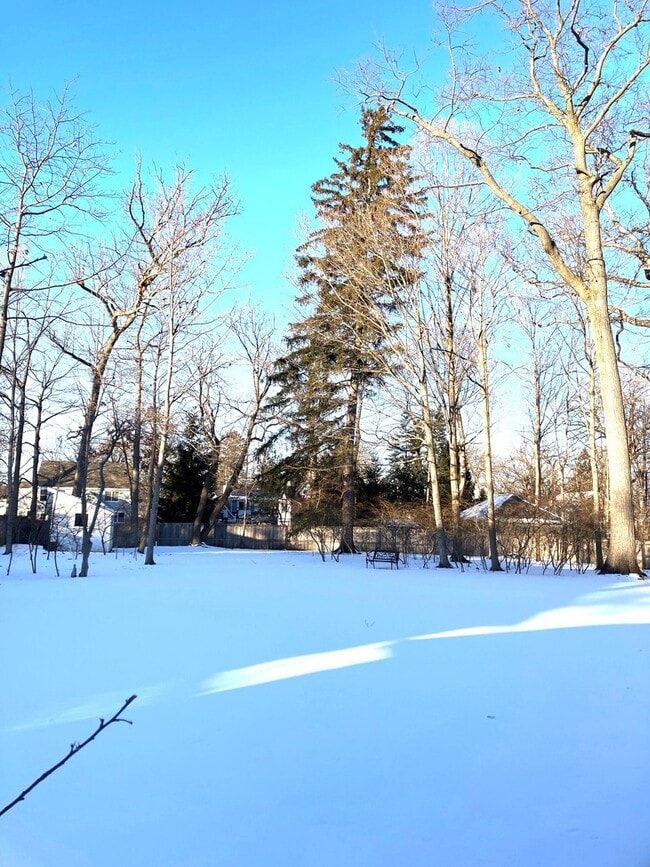 Building Photo - 544 Ravine Ave