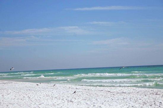 Building Photo - 200 Sandestin Ln