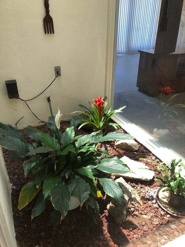 Building Photo - Spacious Single Story 4 bed 2 bath home in Serra Mesa w/2 car garage