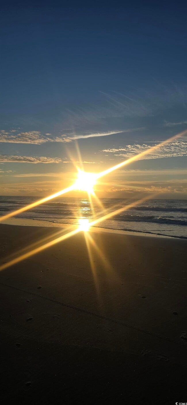 Building Photo - 1009 World Tour Blvd