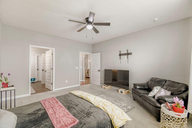 Building Photo - 1585 Nettle Ct